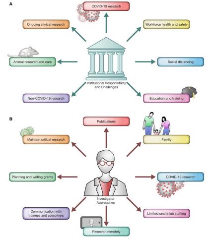 make a research title about covid 19 pandemic